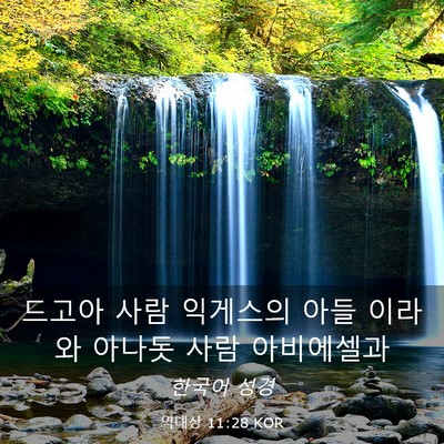 Picture 03 - 역대상 11:28 KOR - 드고아 사람 익게스의 아들 이라와 - Bible Verse Picture