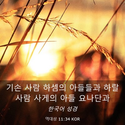 Picture 03 - 역대상 11:34 KOR - 기손 사람 하셈의 아들들과 하랄 - Bible Verse Picture
