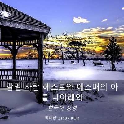 Picture 03 - 역대상 11:37 KOR - 갈멜 사람 헤스로와 에스배의 아들 - Bible Verse Picture