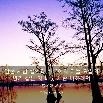 Picture 03 - 역대상 11:39 KOR - 암몬 사람 셀렉과 스루야의 아들 - Bible Verse Picture