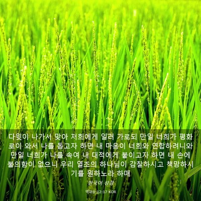 Picture 03 - 역대상 12:17 KOR - 다윗이 나가서 맞아 저희에게 일러 - Bible Verse Picture