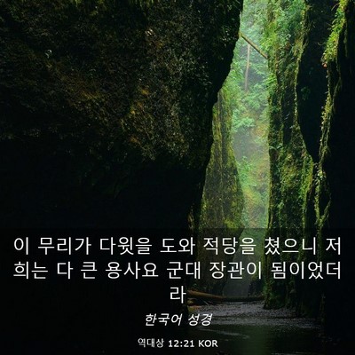 Picture 03 - 역대상 12:21 KOR - 이 무리가 다윗을 도와 적당을 - Bible Verse Picture