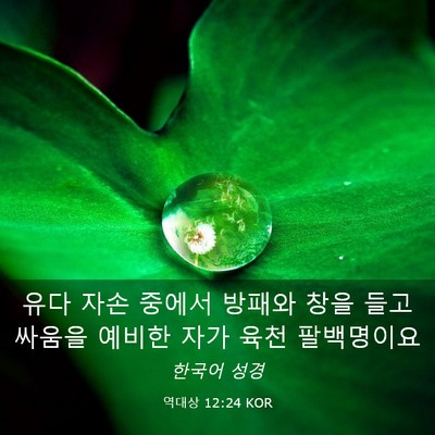 Picture 03 - 역대상 12:24 KOR - 유다 자손 중에서 방패와 창을 들고 - Bible Verse Picture