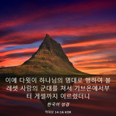 Picture 03 - 역대상 14:16 KOR - 이에 다윗이 하나님의 명대로 행하여 - Bible Verse Picture