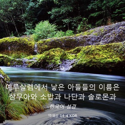 Picture 03 - 역대상 14:4 KOR - 예루살렘에서 낳은 아들들의 이름은 - Bible Verse Picture