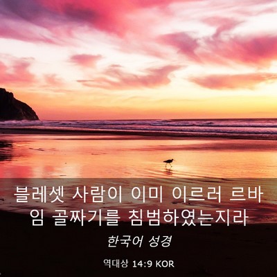 Picture 03 - 역대상 14:9 KOR - 블레셋 사람이 이미 이르러 르바임 - Bible Verse Picture