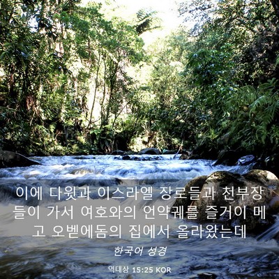 Picture 03 - 역대상 15:25 KOR - 이에 다윗과 이스라엘 장로들과 - Bible Verse Picture