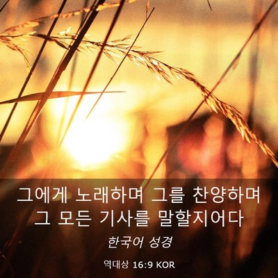 Picture 03 - 역대상 16:9 KOR - 그에게 노래하며 그를 찬양하며 그 - Bible Verse Picture