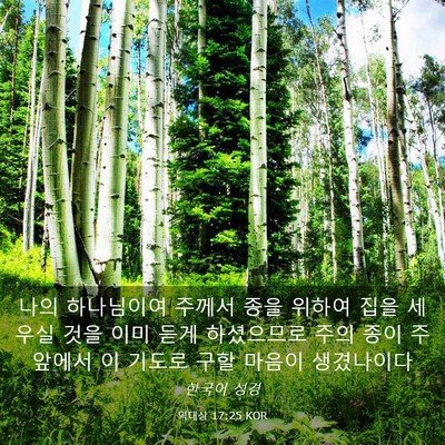 Picture 03 - 역대상 17:25 KOR - 나의 하나님이여 주께서 종을 위하여 - Bible Verse Picture