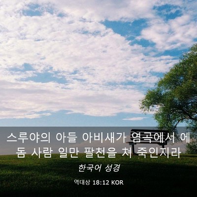 Picture 03 - 역대상 18:12 KOR - 스루야의 아들 아비새가 염곡에서 - Bible Verse Picture