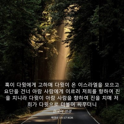 Picture 03 - 역대상 19:17 KOR - 혹이 다윗에게 고하매 다윗이 온 - Bible Verse Picture