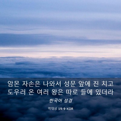 Picture 03 - 역대상 19:9 KOR - 암몬 자손은 나와서 성문 앞에 진 - Bible Verse Picture