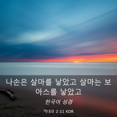 Picture 03 - 역대상 2:11 KOR - 나손은 살마를 낳았고 살마는 - Bible Verse Picture