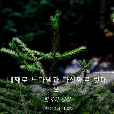 Picture 03 - 역대상 2:14 KOR - 네째로 느다넬과 다섯째로 - Bible Verse Picture