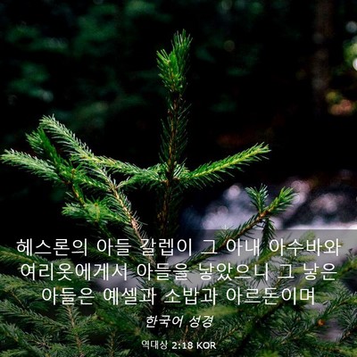 Picture 03 - 역대상 2:18 KOR - 헤스론의 아들 갈렙이 그 아내 - Bible Verse Picture