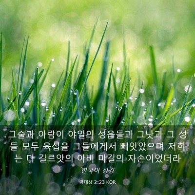 Picture 03 - 역대상 2:23 KOR - 그술과 아람이 야일의 성읍들과 - Bible Verse Picture