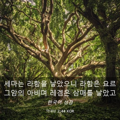 Picture 03 - 역대상 2:44 KOR - 세마는 라함을 낳았으니 라함은 - Bible Verse Picture