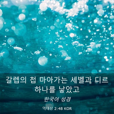 Picture 03 - 역대상 2:48 KOR - 갈렙의 첩 마아가는 세벨과 - Bible Verse Picture