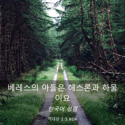 Picture 03 - 역대상 2:5 KOR - 베레스의 아들은 헤스론과 - Bible Verse Picture