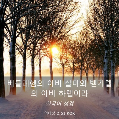 Picture 03 - 역대상 2:51 KOR - 베들레헴의 아비 살마와 벧가델의 - Bible Verse Picture