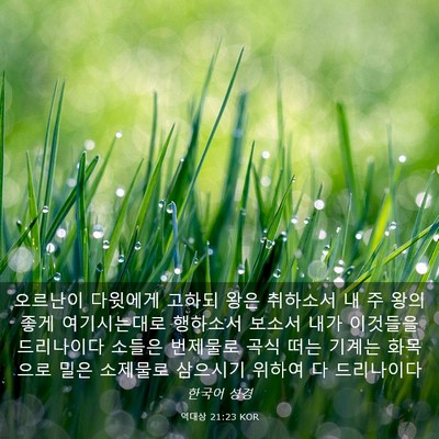 Picture 03 - 역대상 21:23 KOR - 오르난이 다윗에게 고하되 왕은 - Bible Verse Picture