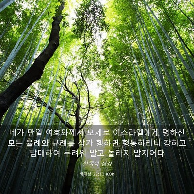 Picture 03 - 역대상 22:13 KOR - 네가 만일 여호와께서 모세로 - Bible Verse Picture
