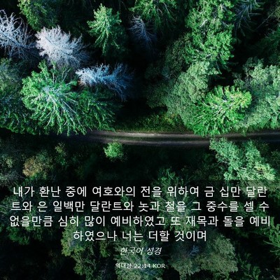 Picture 03 - 역대상 22:14 KOR - 내가 환난 중에 여호와의 전을 - Bible Verse Picture