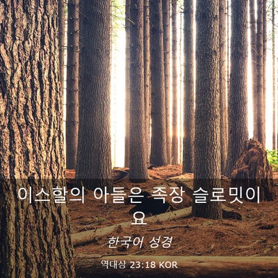 Picture 03 - 역대상 23:18 KOR - 이스할의 아들은 족장 - Bible Verse Picture