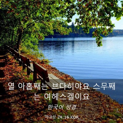 Picture 03 - 역대상 24:16 KOR - 열 아홉째는 브다히야요 스무째는 - Bible Verse Picture