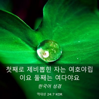 Picture 03 - 역대상 24:7 KOR - 첫째로 제비뽑힌 자는 여호야립이요 - Bible Verse Picture