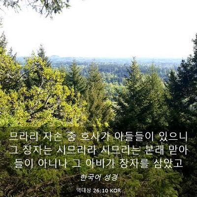 Picture 03 - 역대상 26:10 KOR - 므라리 자손 중 호사가 아들들이 - Bible Verse Picture