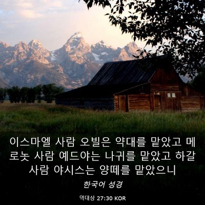 Picture 03 - 역대상 27:30 KOR - 이스마엘 사람 오빌은 약대를 맡았고 - Bible Verse Picture