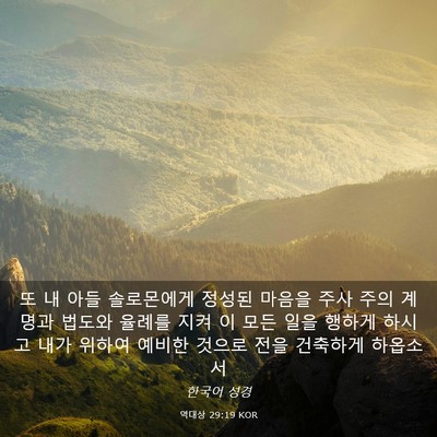 Picture 03 - 역대상 29:19 KOR - 또 내 아들 솔로몬에게 정성된 - Bible Verse Picture