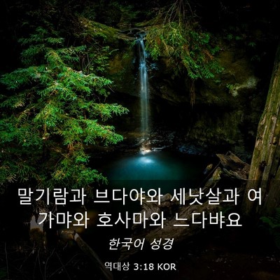 Picture 03 - 역대상 3:18 KOR - 말기람과 브다야와 세낫살과 - Bible Verse Picture