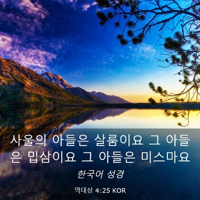 Picture 03 - 역대상 4:25 KOR - 사울의 아들은 살룸이요 그 아들은 - Bible Verse Picture
