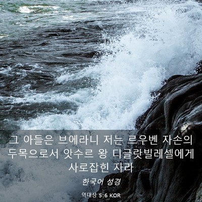 Picture 03 - 역대상 5:6 KOR - 그 아들은 브에라니 저는 르우벤 - Bible Verse Picture