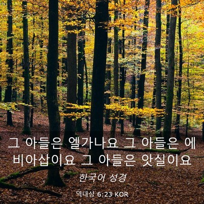 Picture 03 - 역대상 6:23 KOR - 그 아들은 엘가나요 그 아들은 - Bible Verse Picture