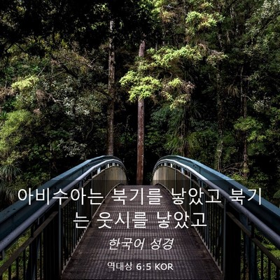 Picture 03 - 역대상 6:5 KOR - 아비수아는 북기를 낳았고 북기는 - Bible Verse Picture