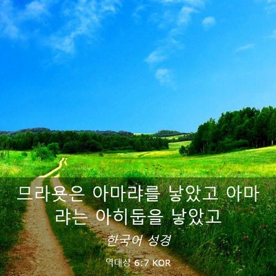 Picture 03 - 역대상 6:7 KOR - 므라욧은 아마랴를 낳았고 아마랴는 - Bible Verse Picture