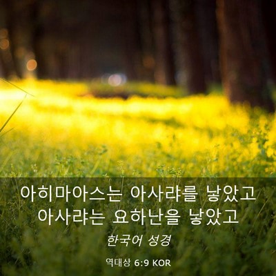Picture 03 - 역대상 6:9 KOR - 아히마아스는 아사랴를 낳았고 - Bible Verse Picture