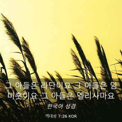 Picture 03 - 역대상 7:26 KOR - 그 아들은 라단이요 그 아들은 - Bible Verse Picture