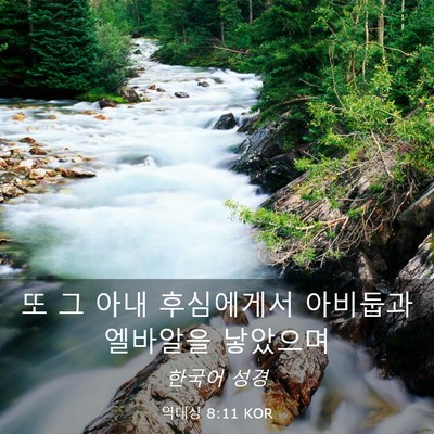 Picture 03 - 역대상 8:11 KOR - 또 그 아내 후심에게서 아비둡과 - Bible Verse Picture