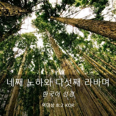 Picture 03 - 역대상 8:2 KOR - 네째 노하와 다섯째 - Bible Verse Picture