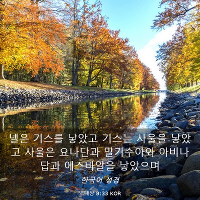 Picture 03 - 역대상 8:33 KOR - 넬은 기스를 낳았고 기스는 사울을 - Bible Verse Picture