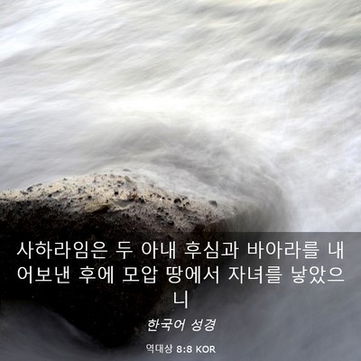 Picture 03 - 역대상 8:8 KOR - 사하라임은 두 아내 후심과 바아라를 - Bible Verse Picture
