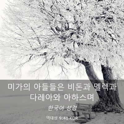 Picture 03 - 역대상 9:41 KOR - 미가의 아들들은 비돈과 멜렉과 - Bible Verse Picture