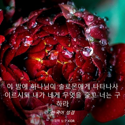 Picture 03 - 역대하 1:7 KOR - 이 밤에 하나님이 솔로몬에게 - Bible Verse Picture