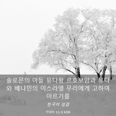 Picture 03 - 역대하 11:3 KOR - 솔로몬의 아들 유다왕 르호보암과 - Bible Verse Picture
