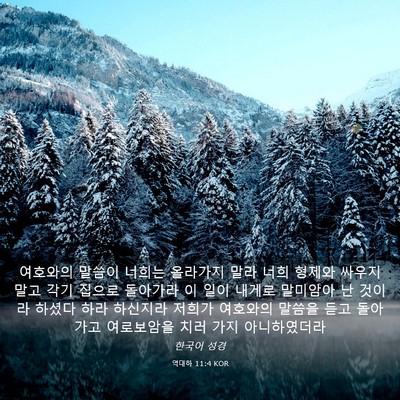 Picture 03 - 역대하 11:4 KOR - 여호와의 말씀이 너희는 올라가지 - Bible Verse Picture