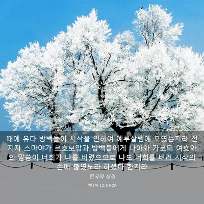 Picture 03 - 역대하 12:5 KOR - 때에 유다 방백들이 시삭을 인하여 - Bible Verse Picture